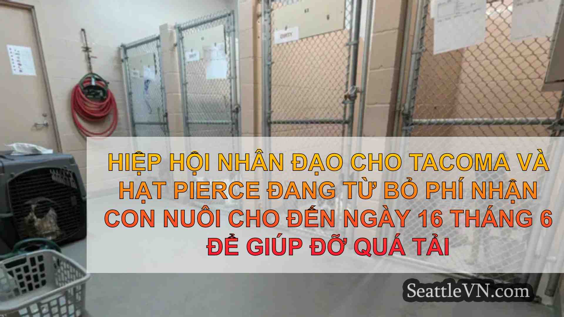 Tacoma Nhân đạo từ bỏ phí nhận con nuôi