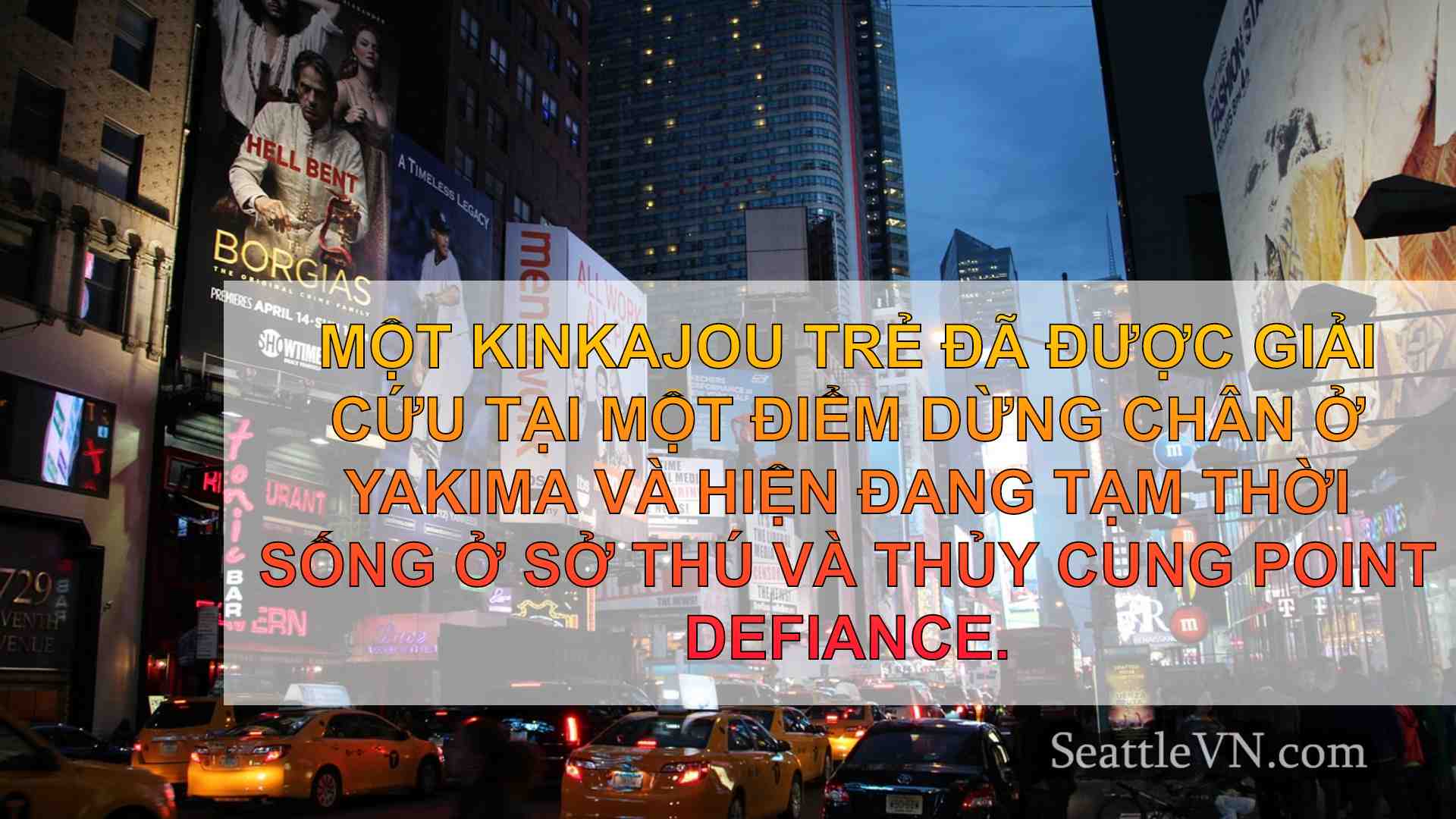 tin tức seattle SeattleVN