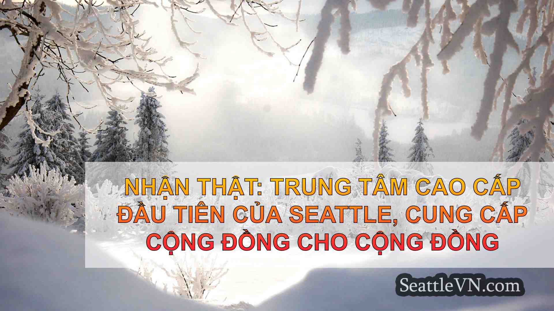 tin tức seattle SeattleVN