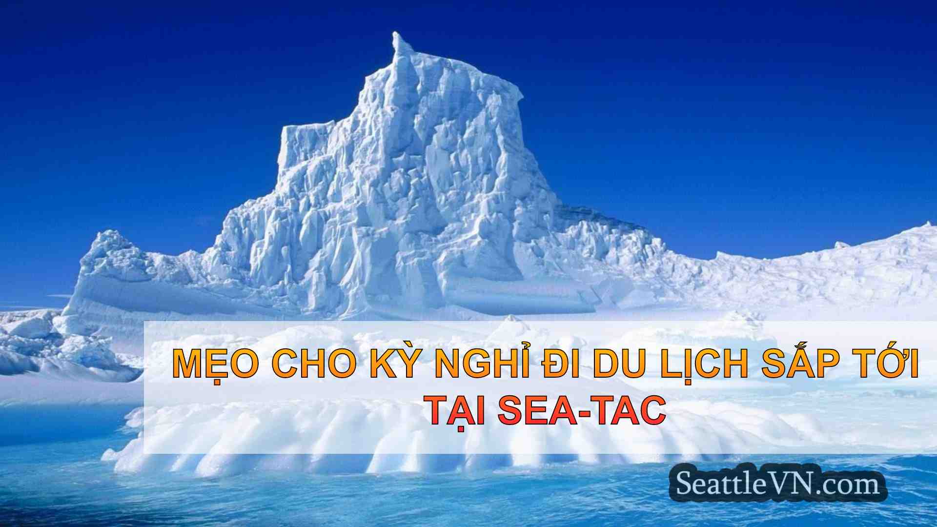 tin tức seattle SeattleVN
