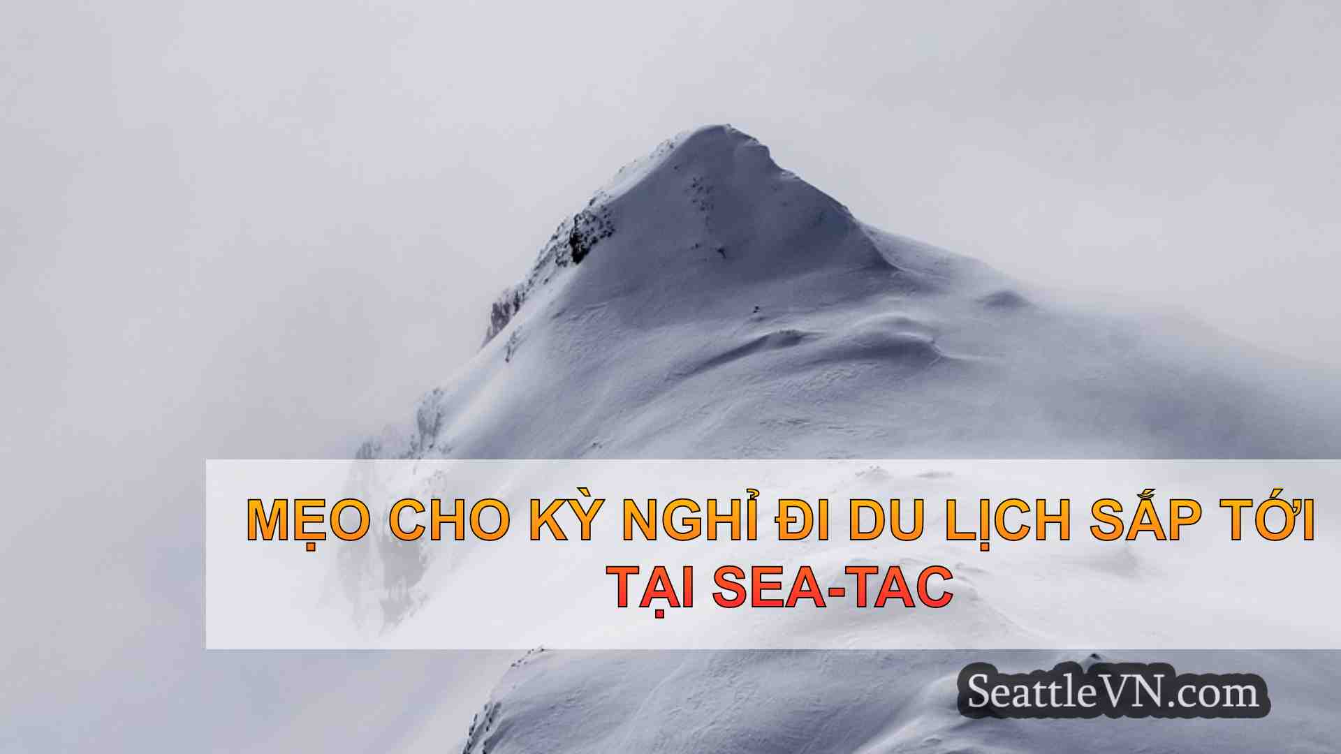 tin tức seattle SeattleVN
