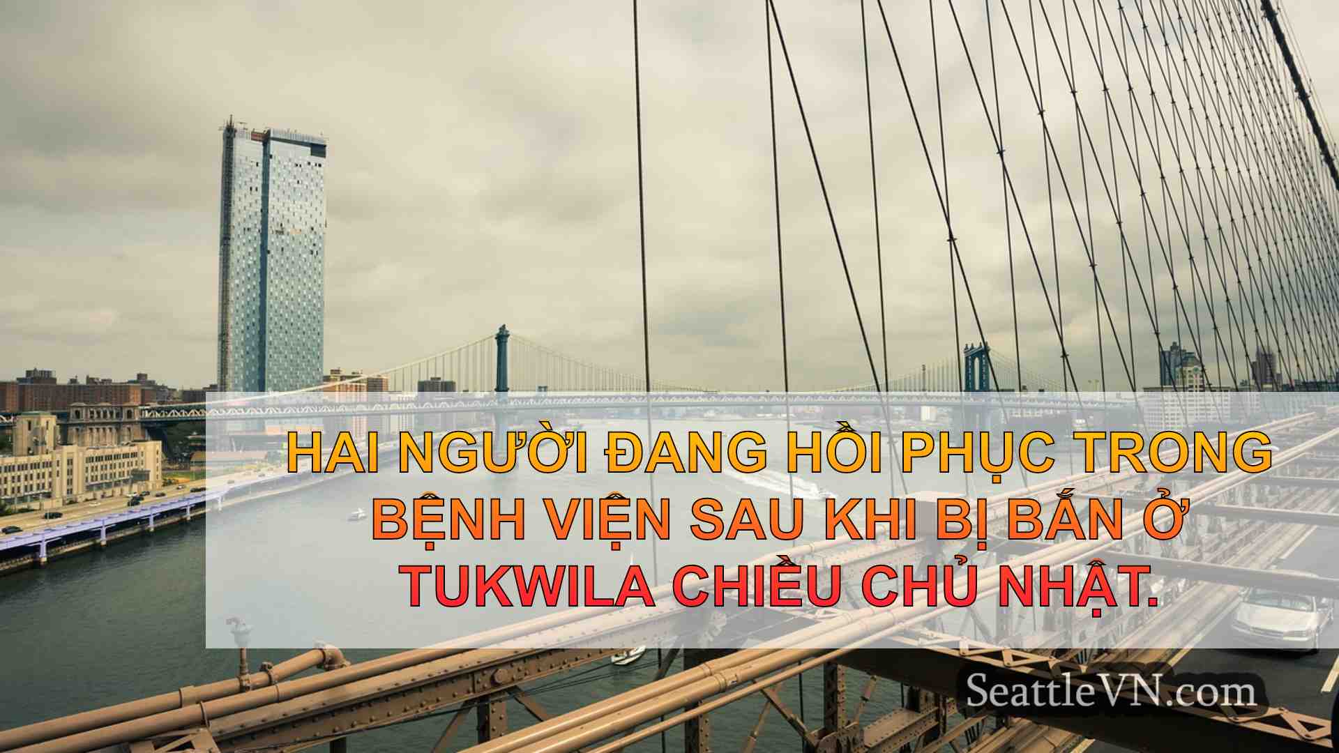 tin tức seattle SeattleVN