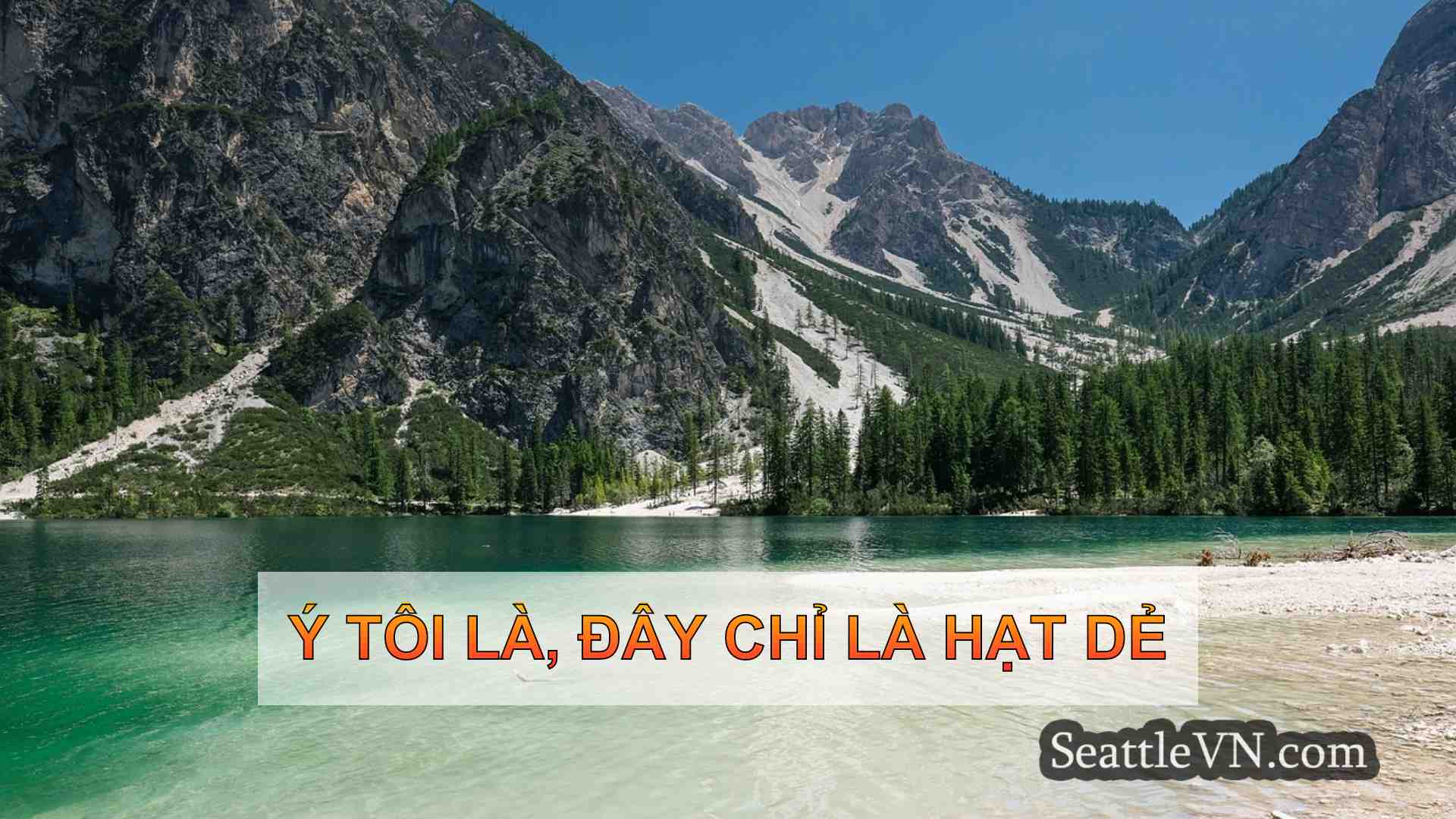 Ý tôi là đây chỉ là hạt dẻ