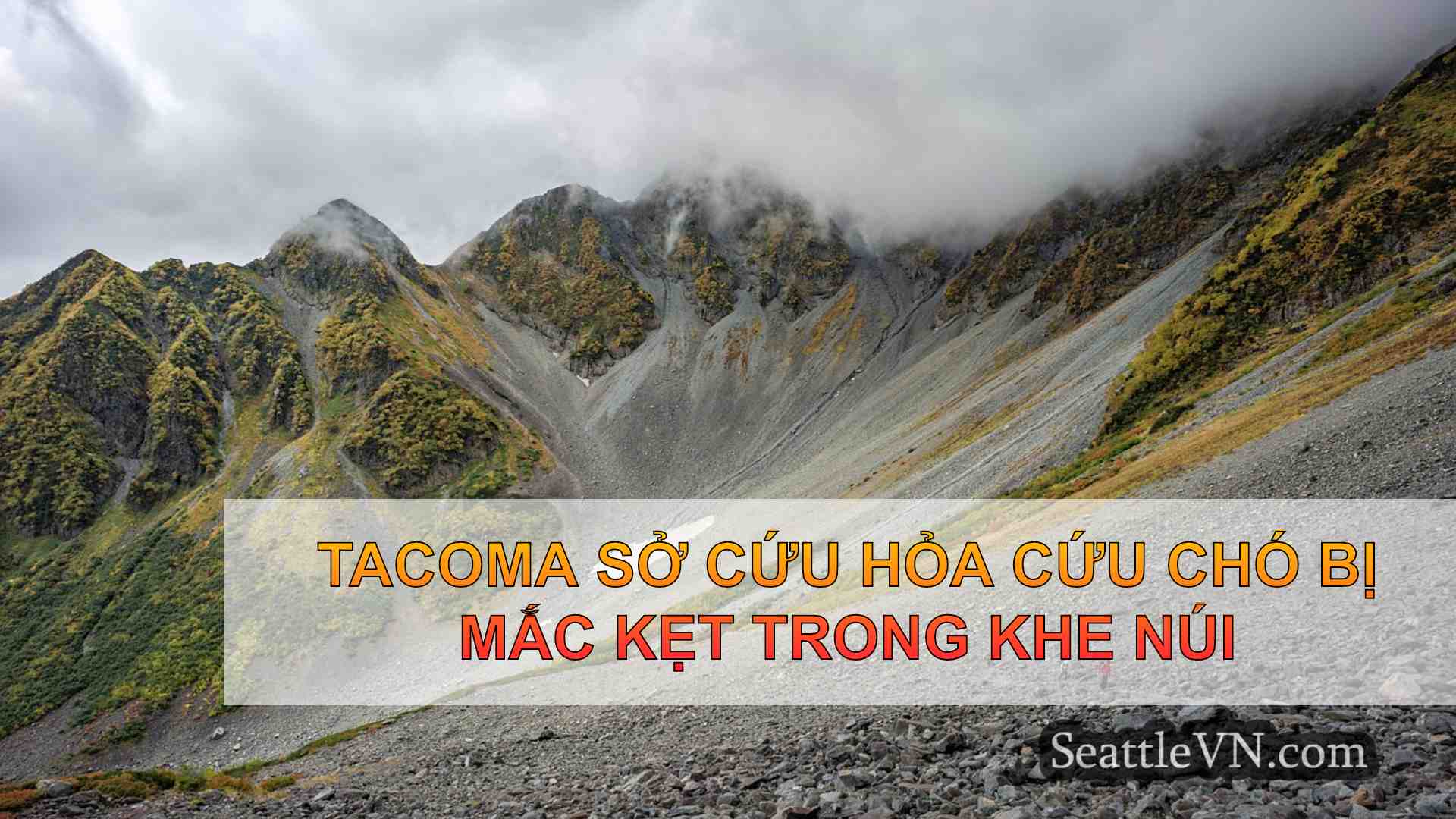 Tacoma Sở cứu hỏa Cứu chó bị mắc kẹt