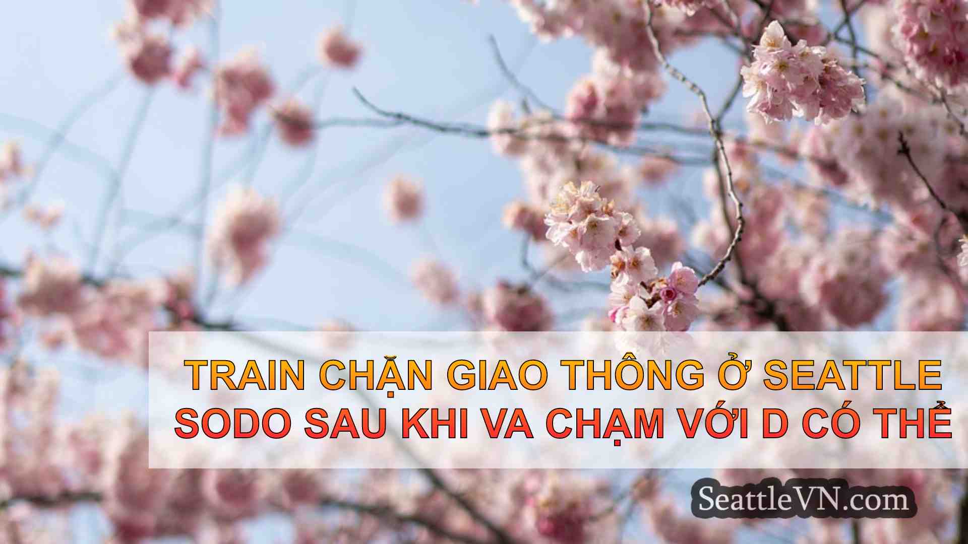 tin tức seattle SeattleVN