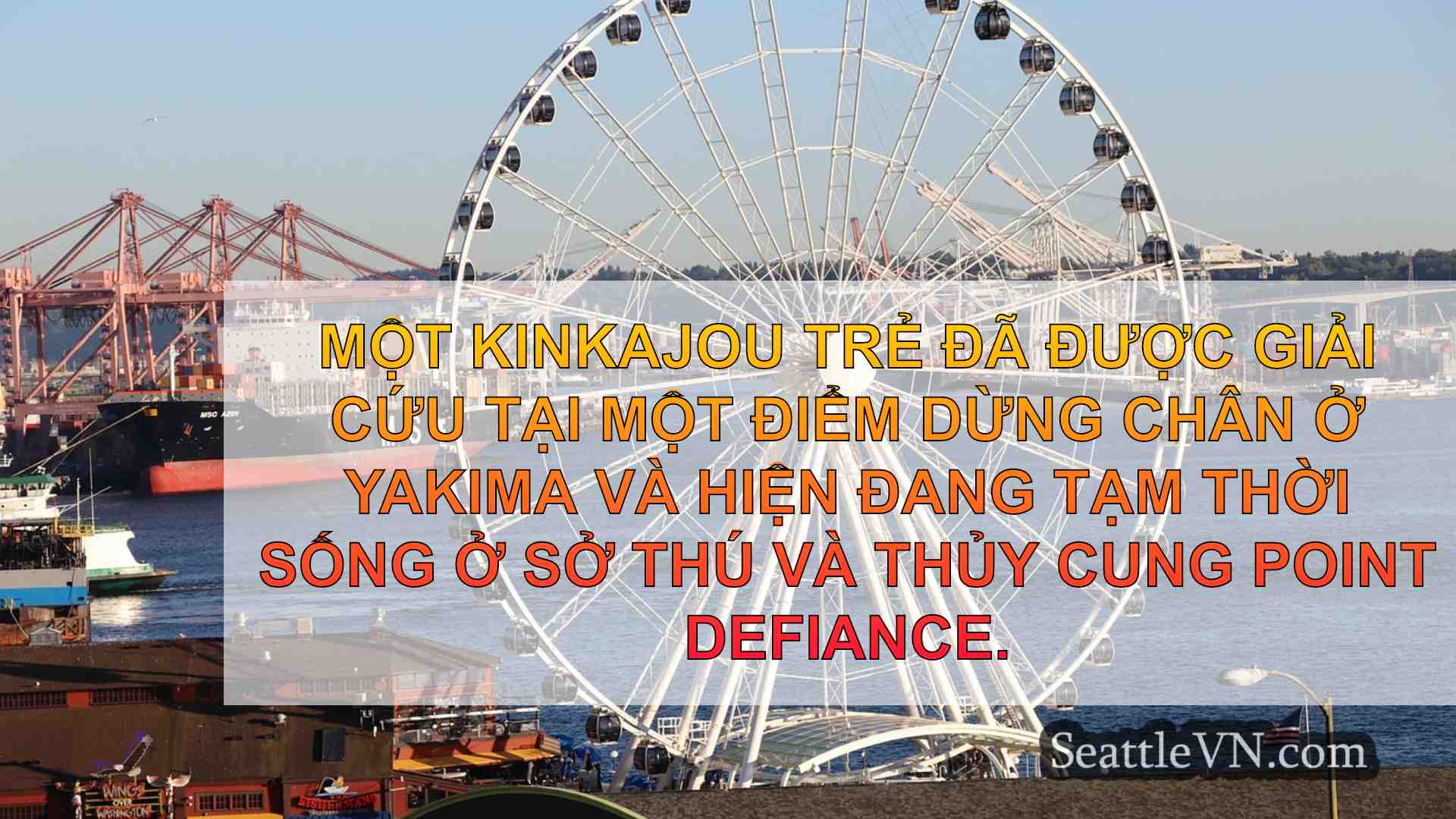 tin tức seattle SeattleVN
