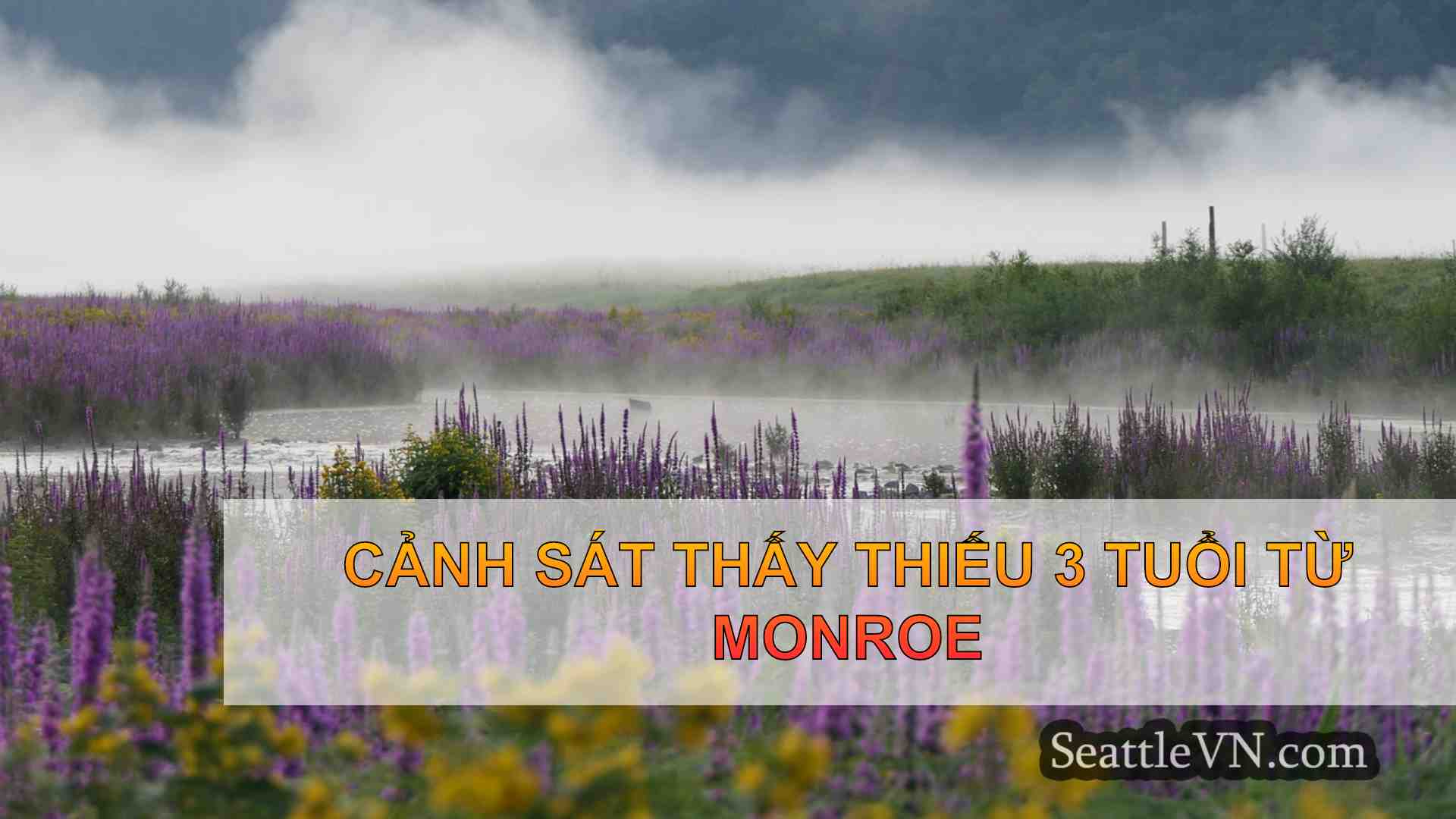 tin tức seattle SeattleVN