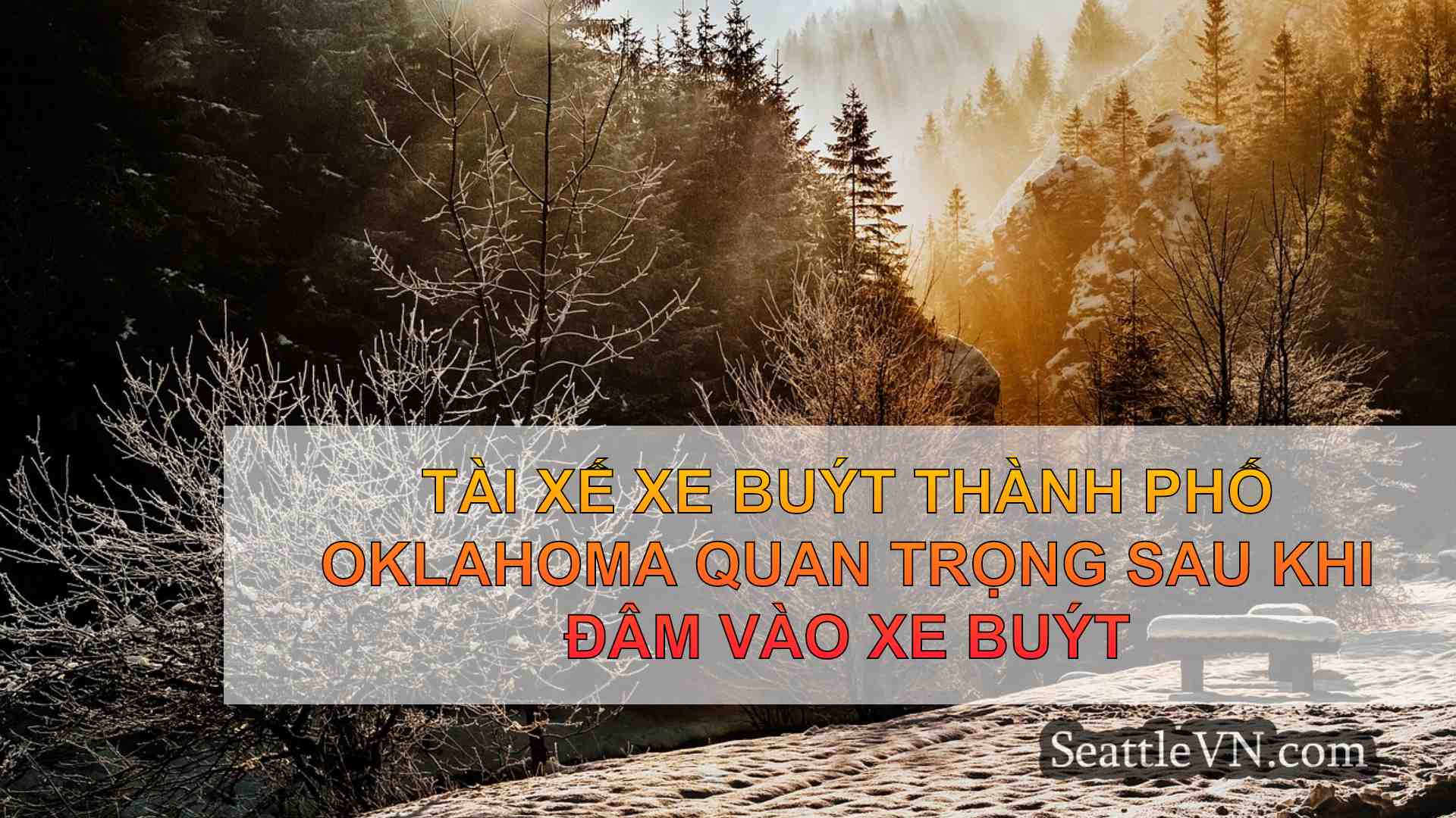 tin tức seattle SeattleVN