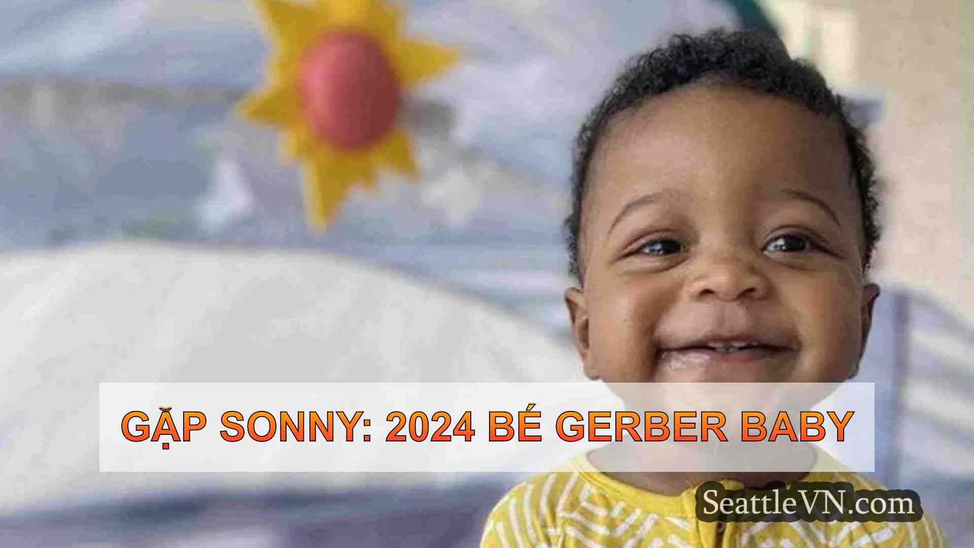 Gặp Sonny: 2024 Bé Gerber Baby