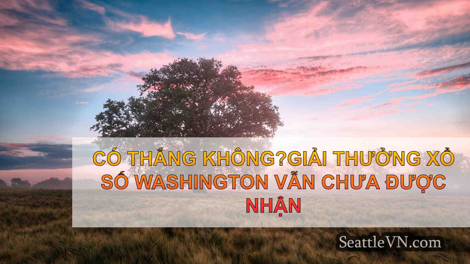 tin tức seattle SeattleVN