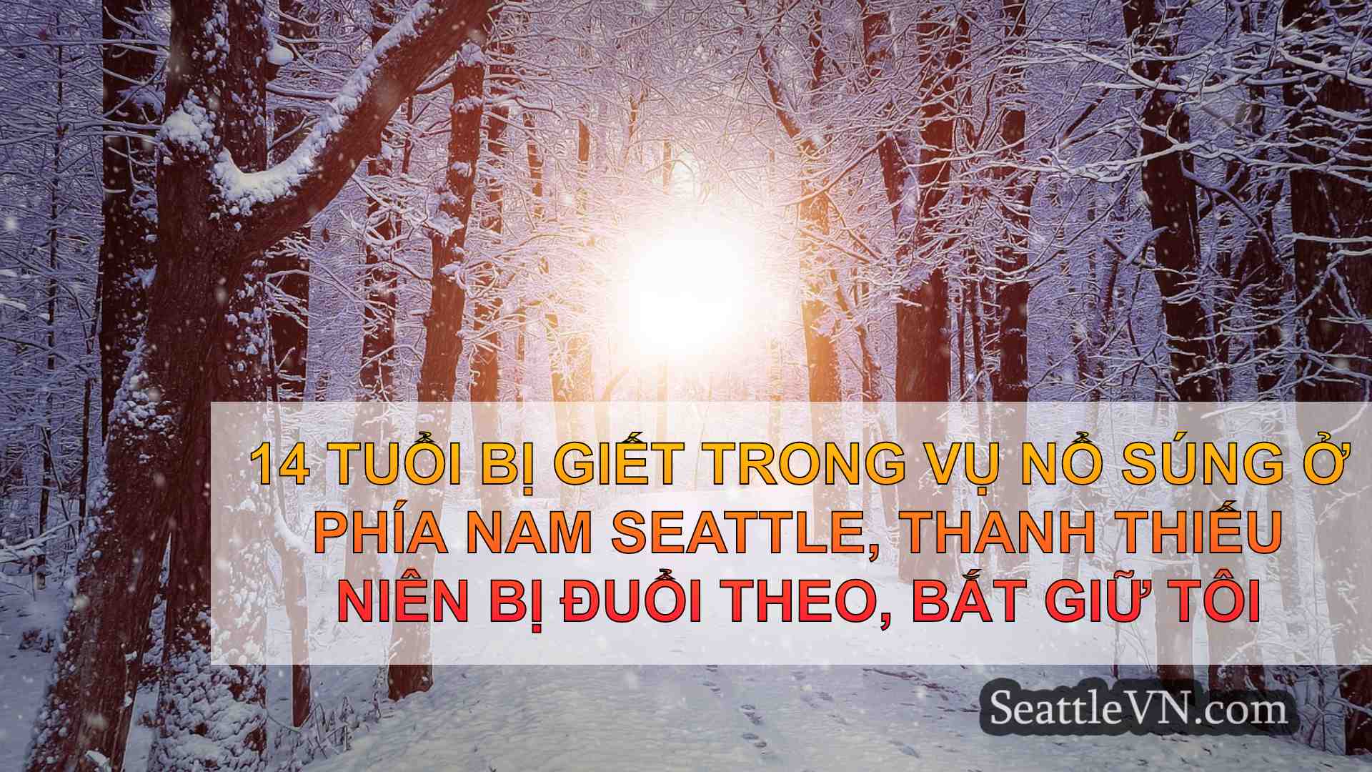 tin tức seattle SeattleVN