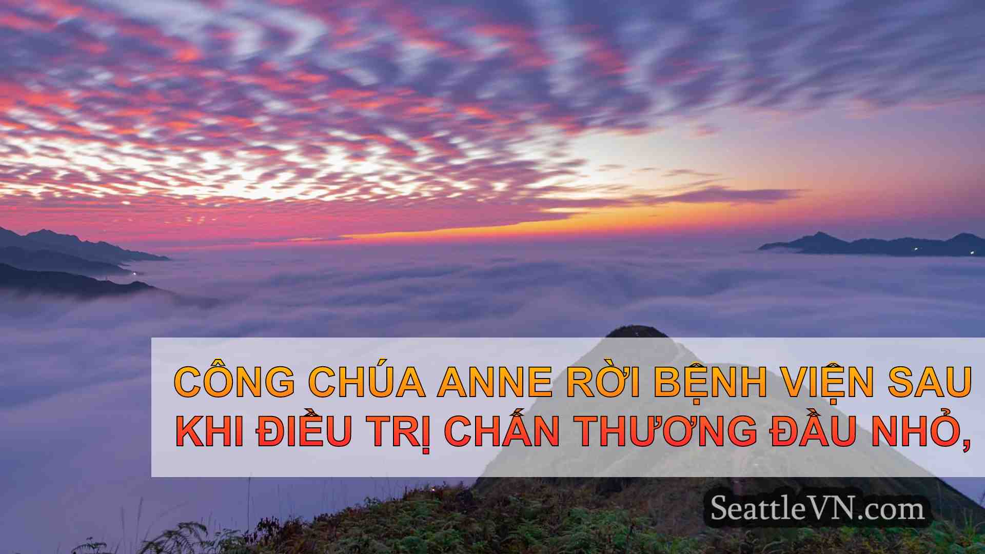 tin tức seattle SeattleVN