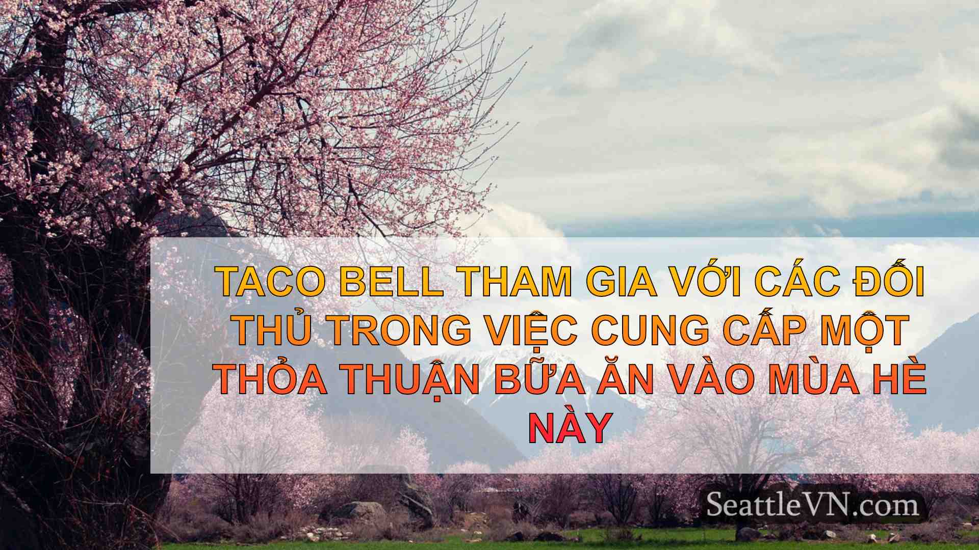 tin tức seattle SeattleVN