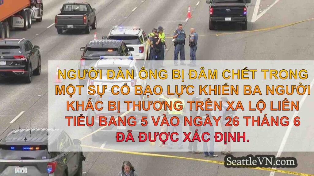 Người đàn ông bị đâm chết trong xe trên
