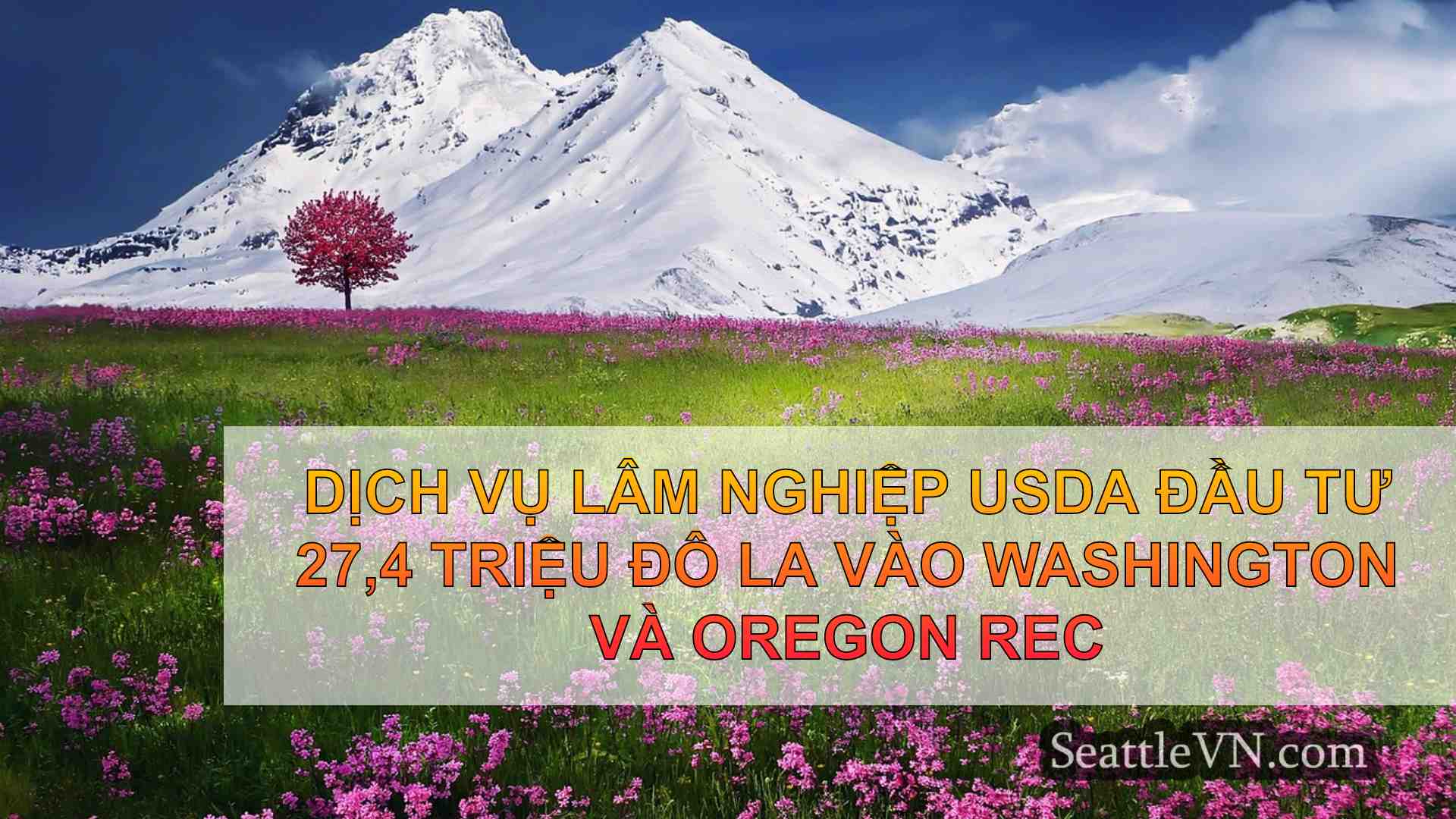 tin tức seattle SeattleVN