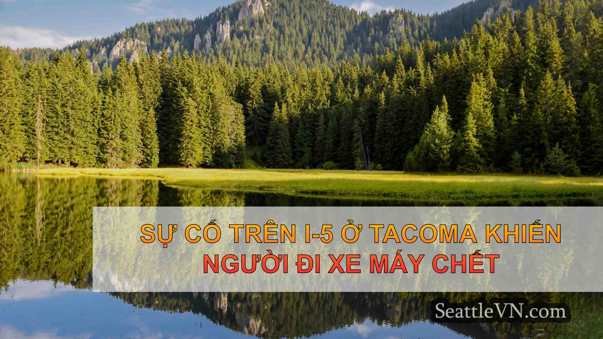 tin tức seattle SeattleVN