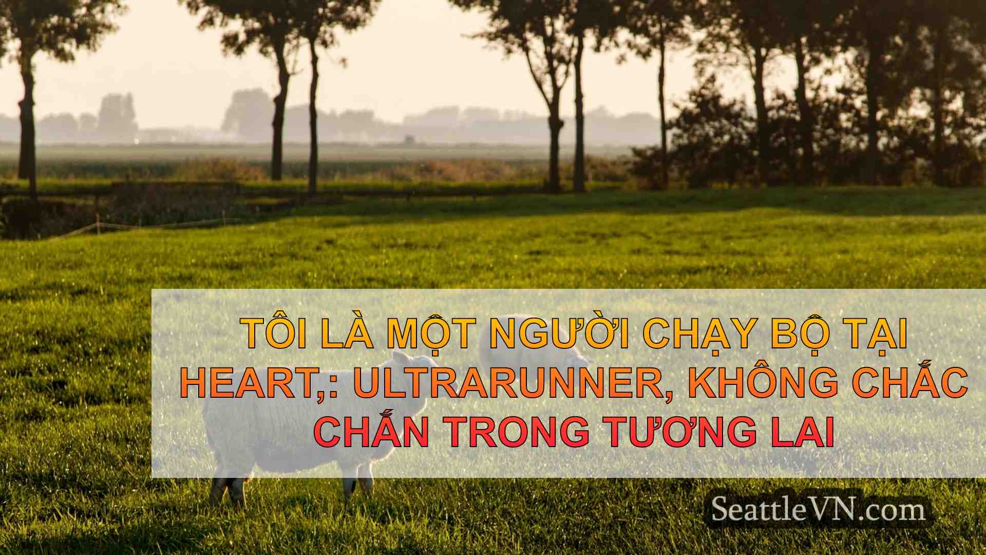 Tôi là một người chạy bộ tại Heart,: