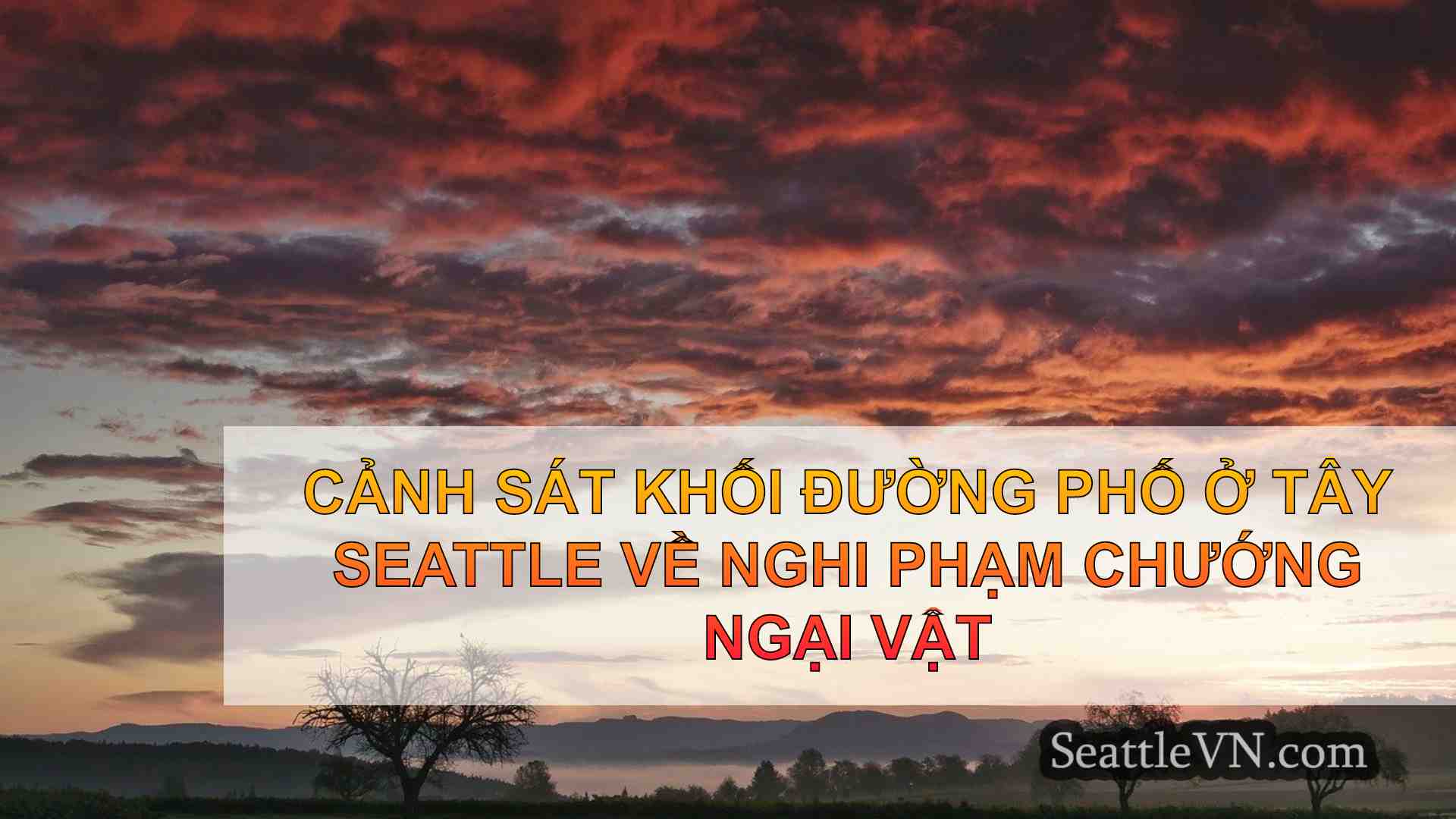 tin tức seattle SeattleVN