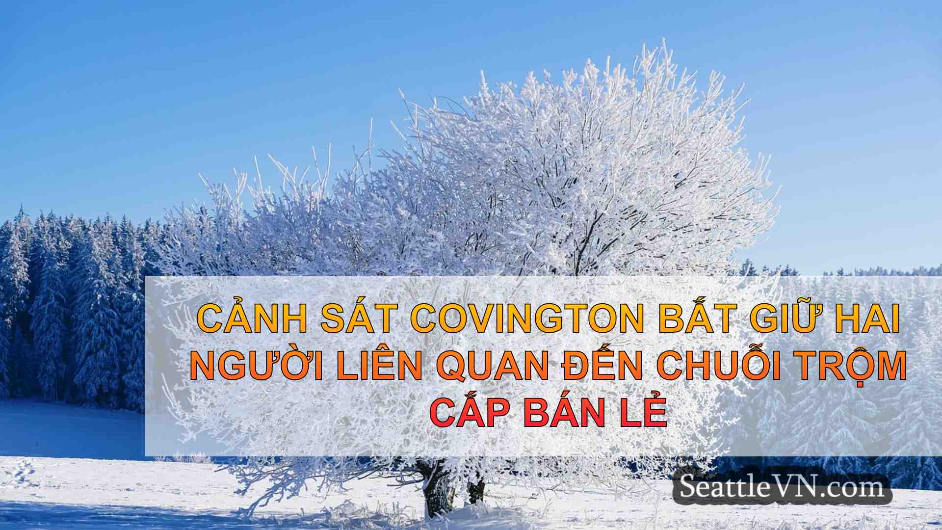 tin tức seattle SeattleVN