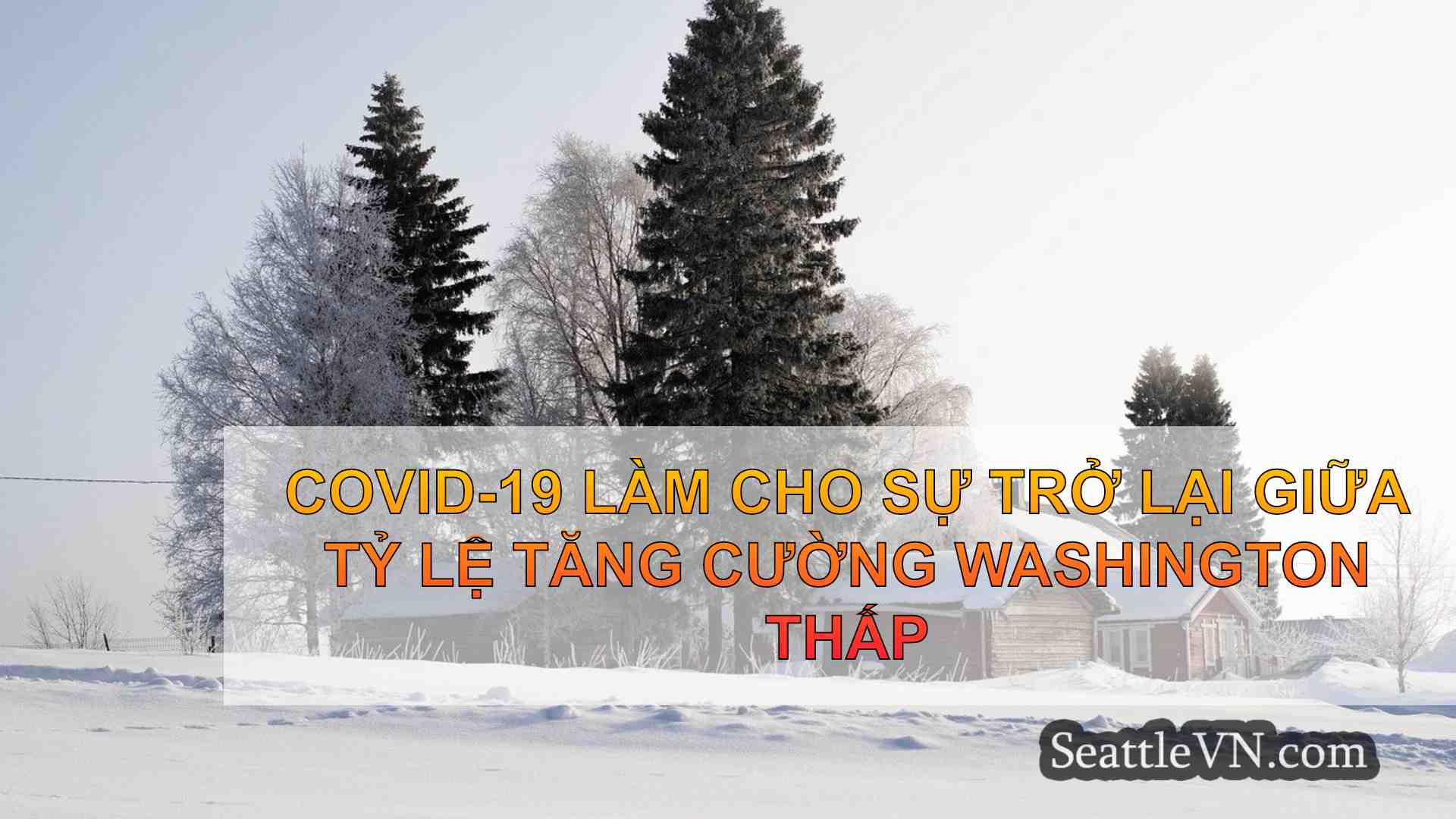 tin tức seattle SeattleVN