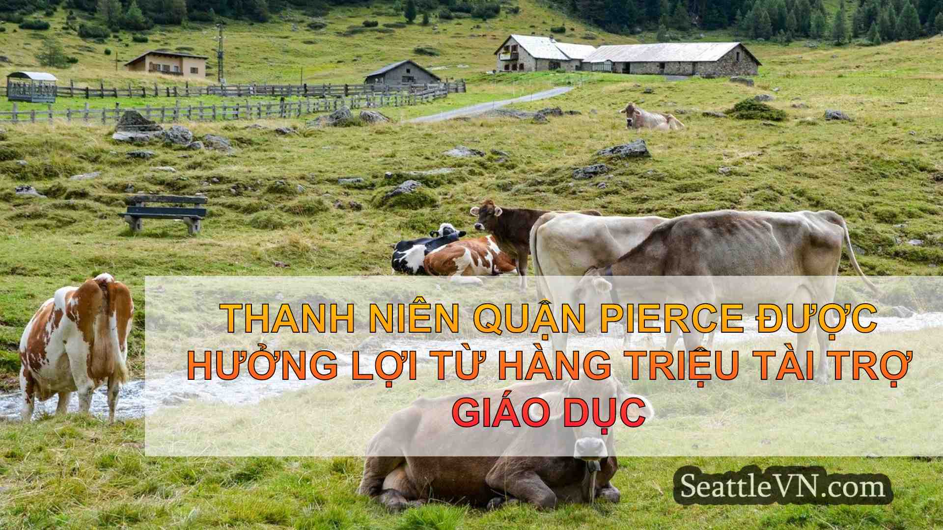 tin tức seattle SeattleVN