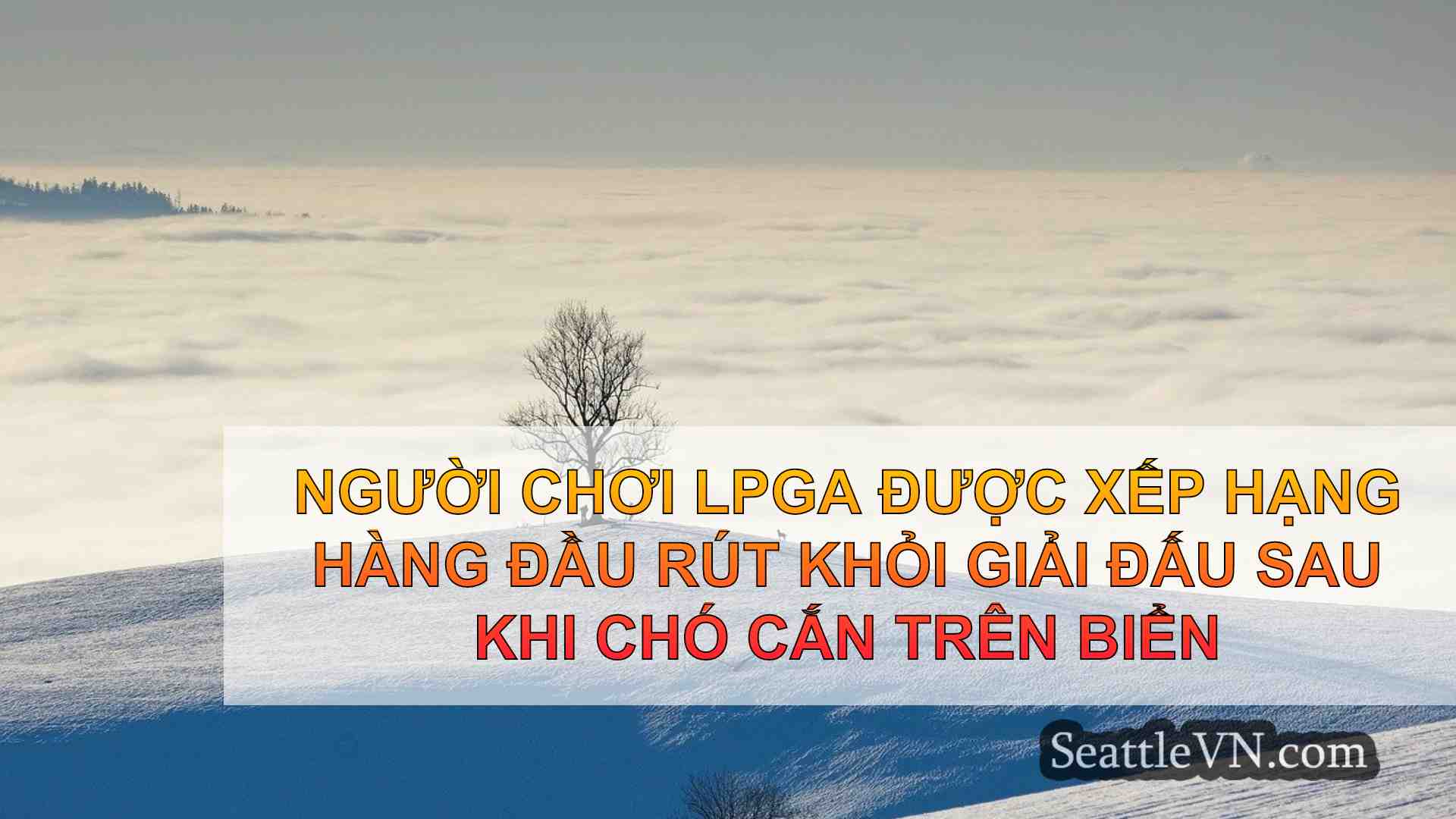 tin tức seattle SeattleVN