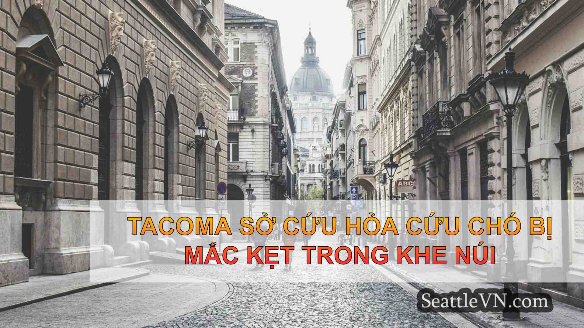 tin tức seattle SeattleVN