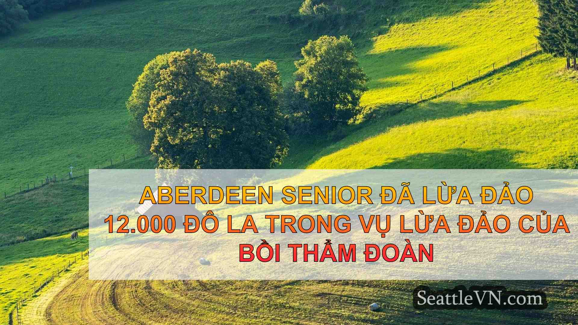 tin tức seattle SeattleVN