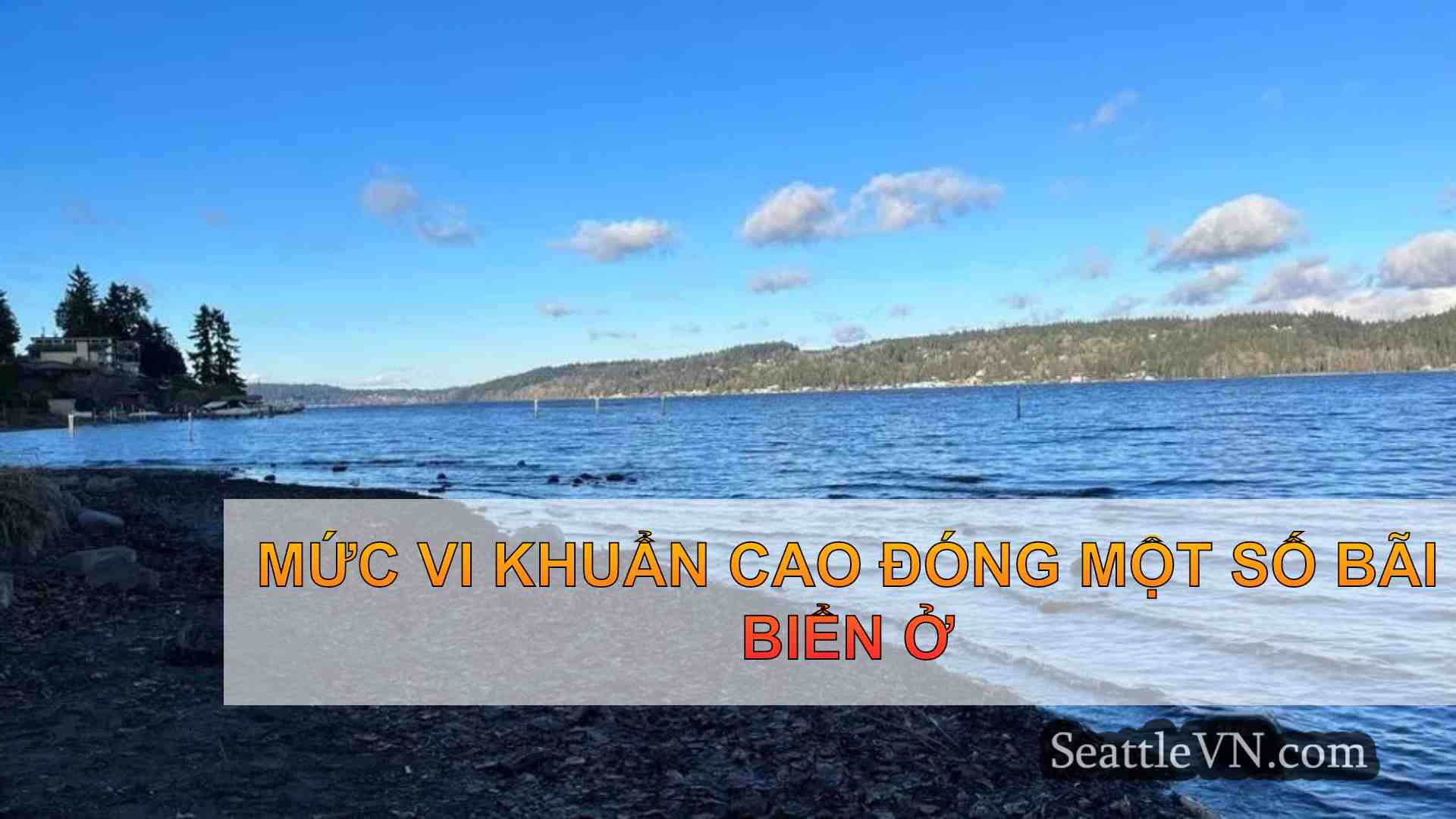 Mức vi khuẩn cao đóng một số bãi biển ở