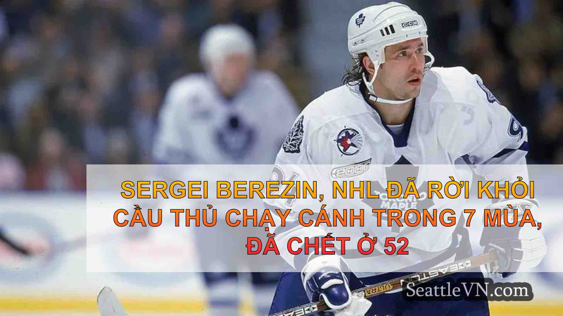 Sergei Berezin, NHL đã rời khỏi cầu thủ