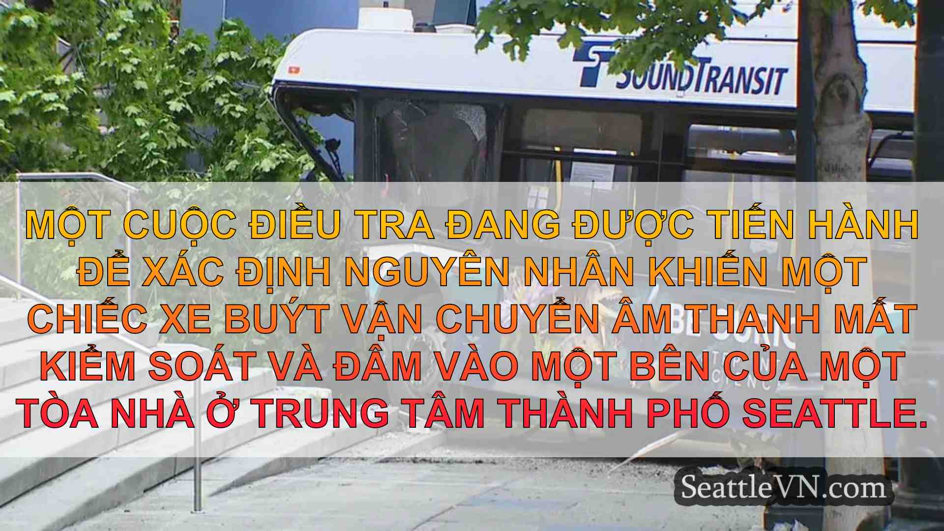 'Làm thế nào tất cả họ sống sót?': Các