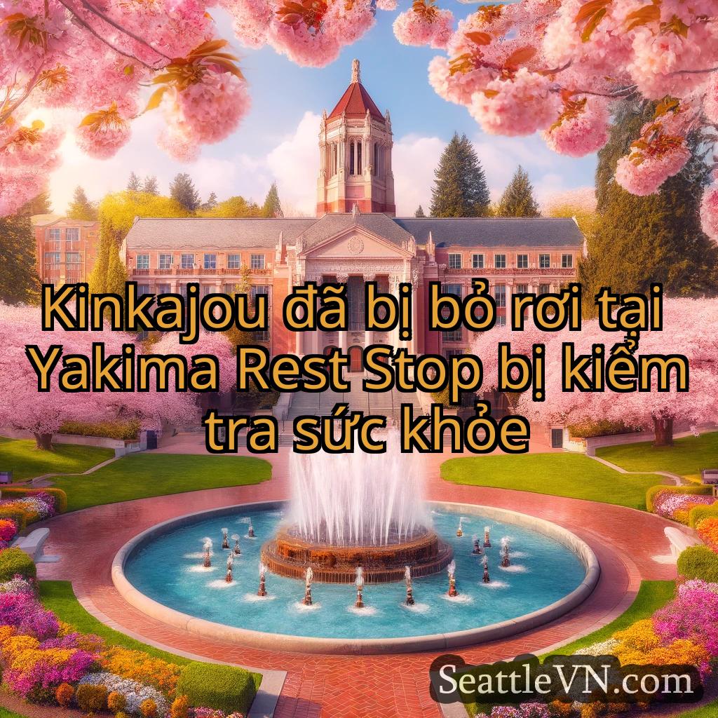 tin tức seattle Kinkajou đã bị bỏ rơi tại Yakima