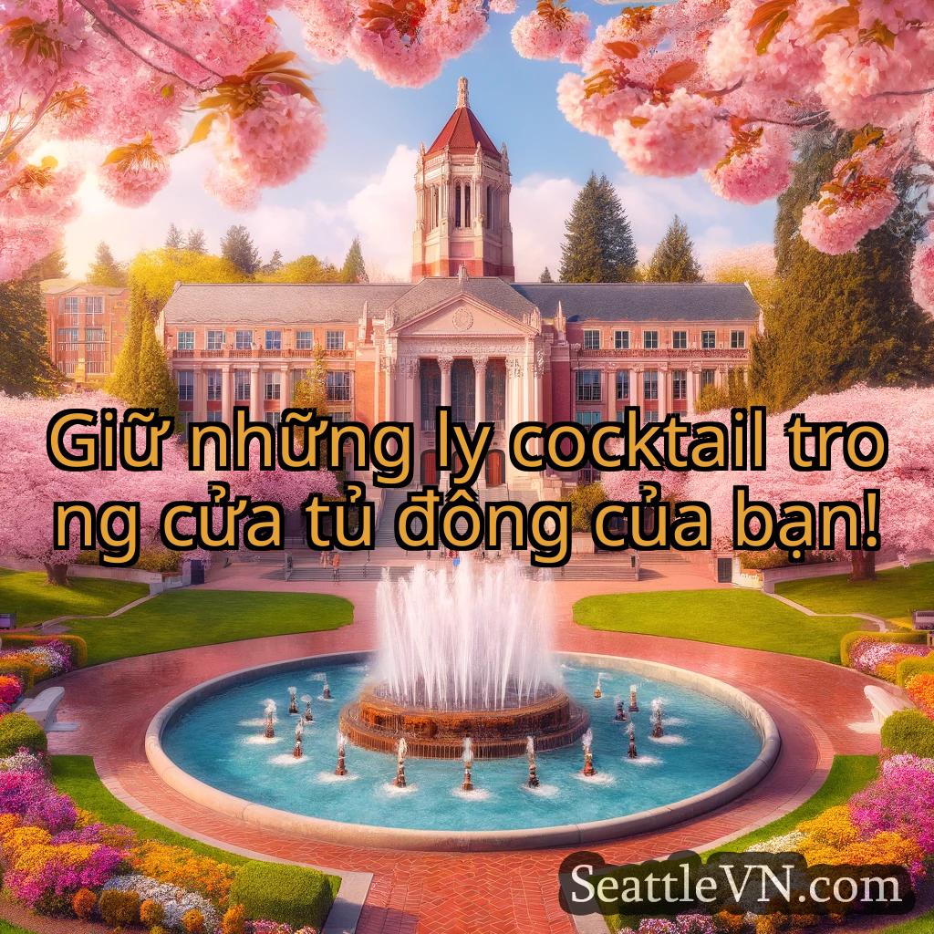 tin tức seattle Giữ những ly cocktail trong cửa tủ