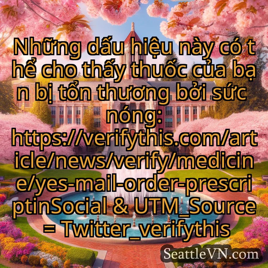 tin tức seattle Những dấu hiệu này có thể cho thấy