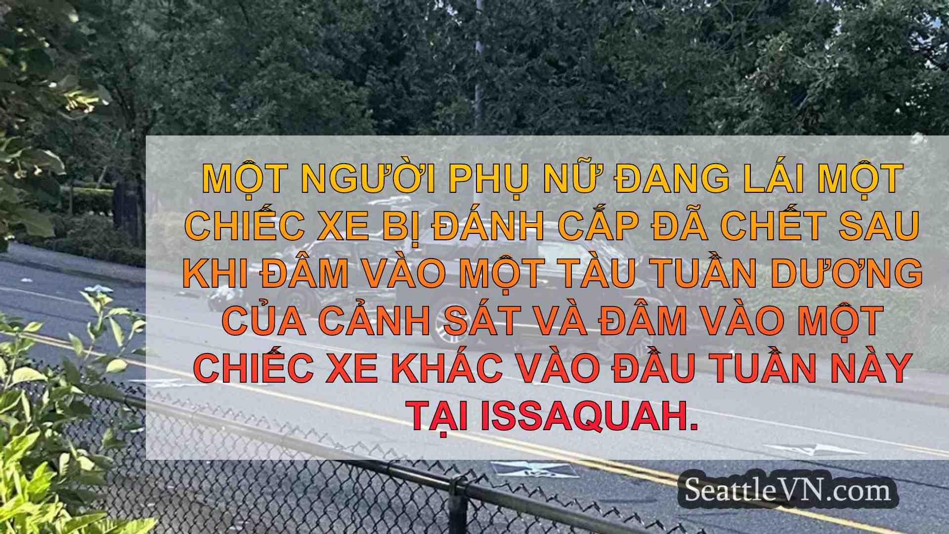 Người phụ nữ chết sau khi đâm xe bị