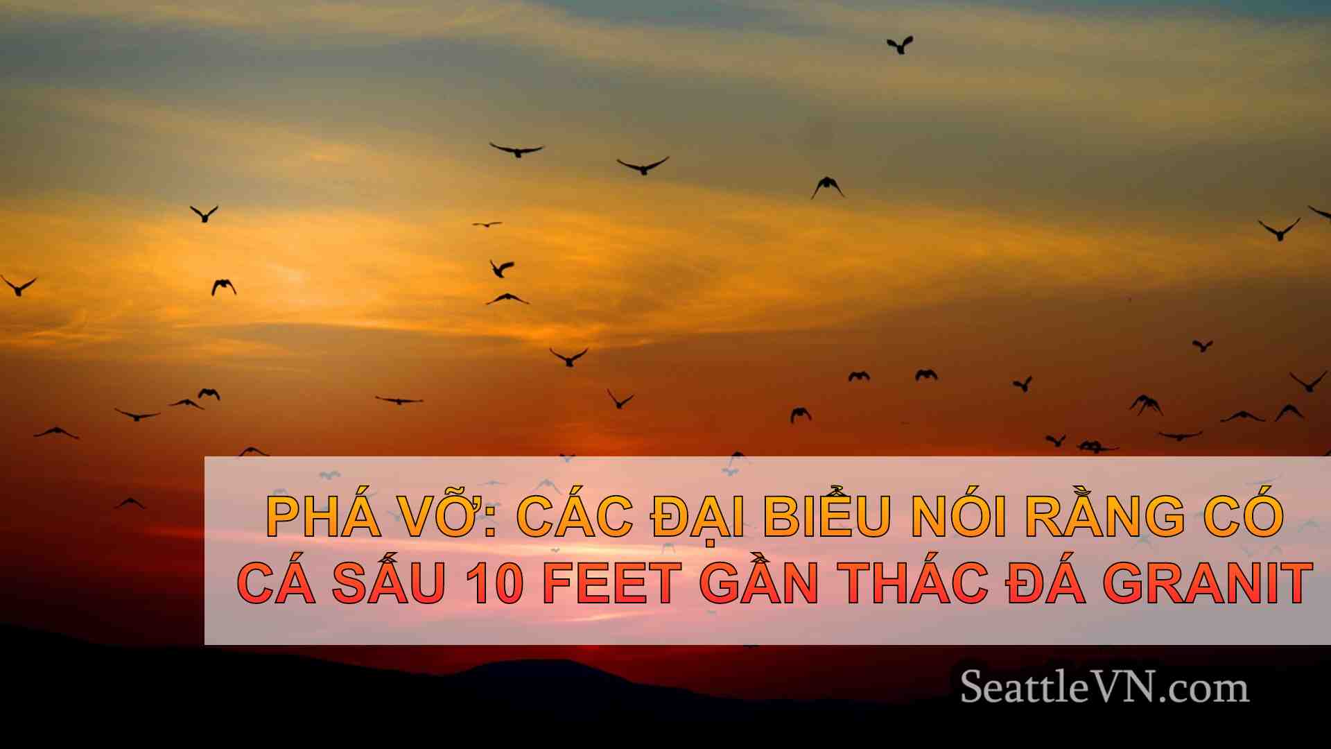tin tức seattle SeattleVN