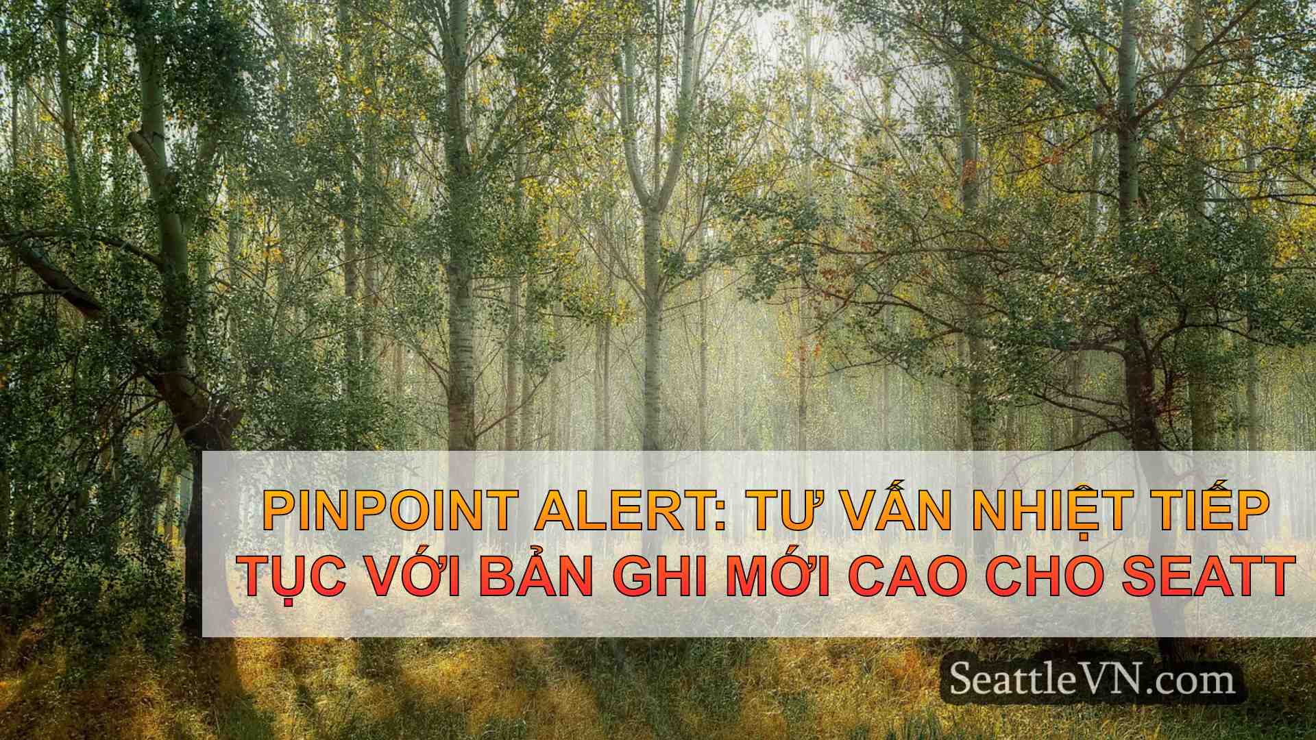 tin tức seattle SeattleVN