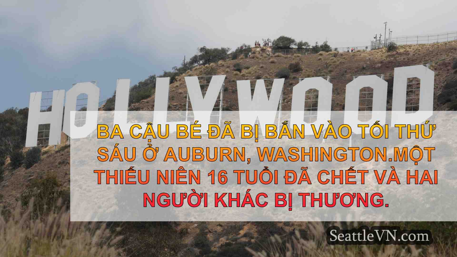 tin tức seattle SeattleVN