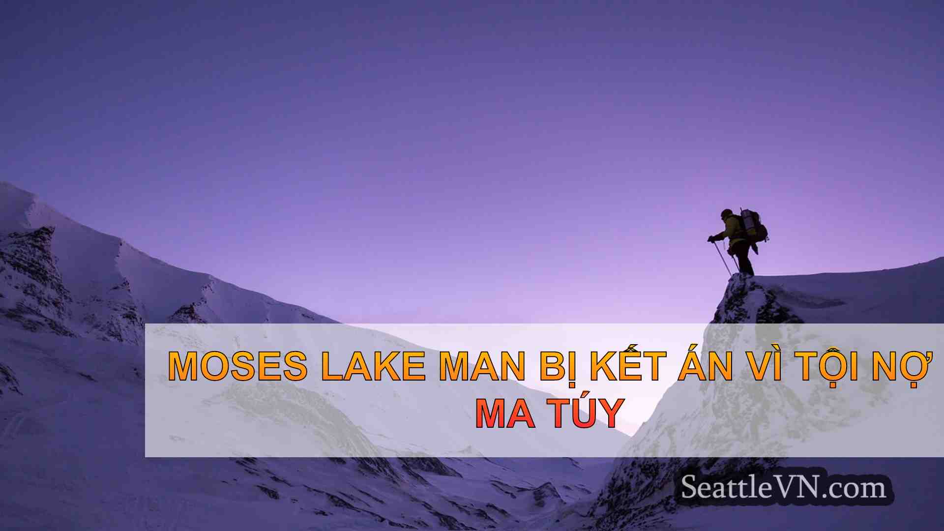 tin tức seattle SeattleVN