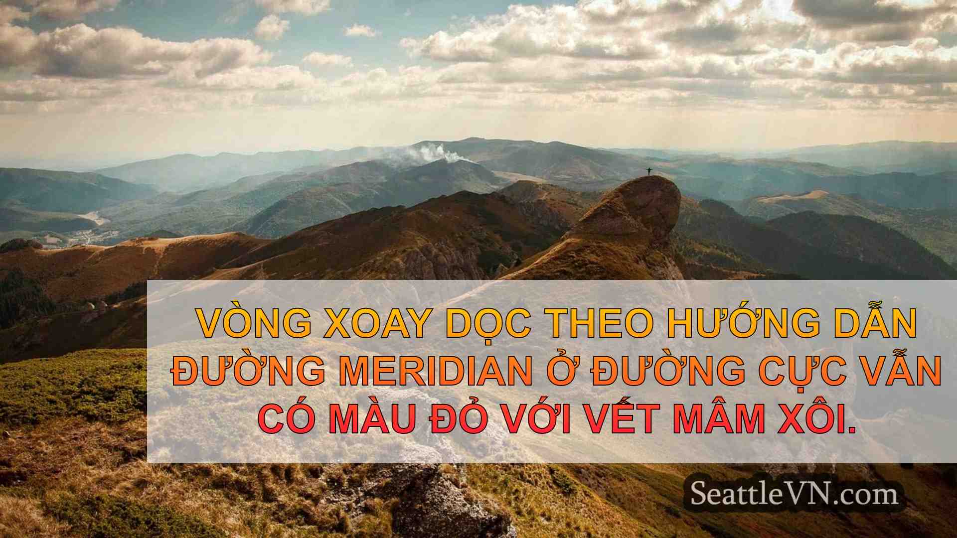 tin tức seattle SeattleVN