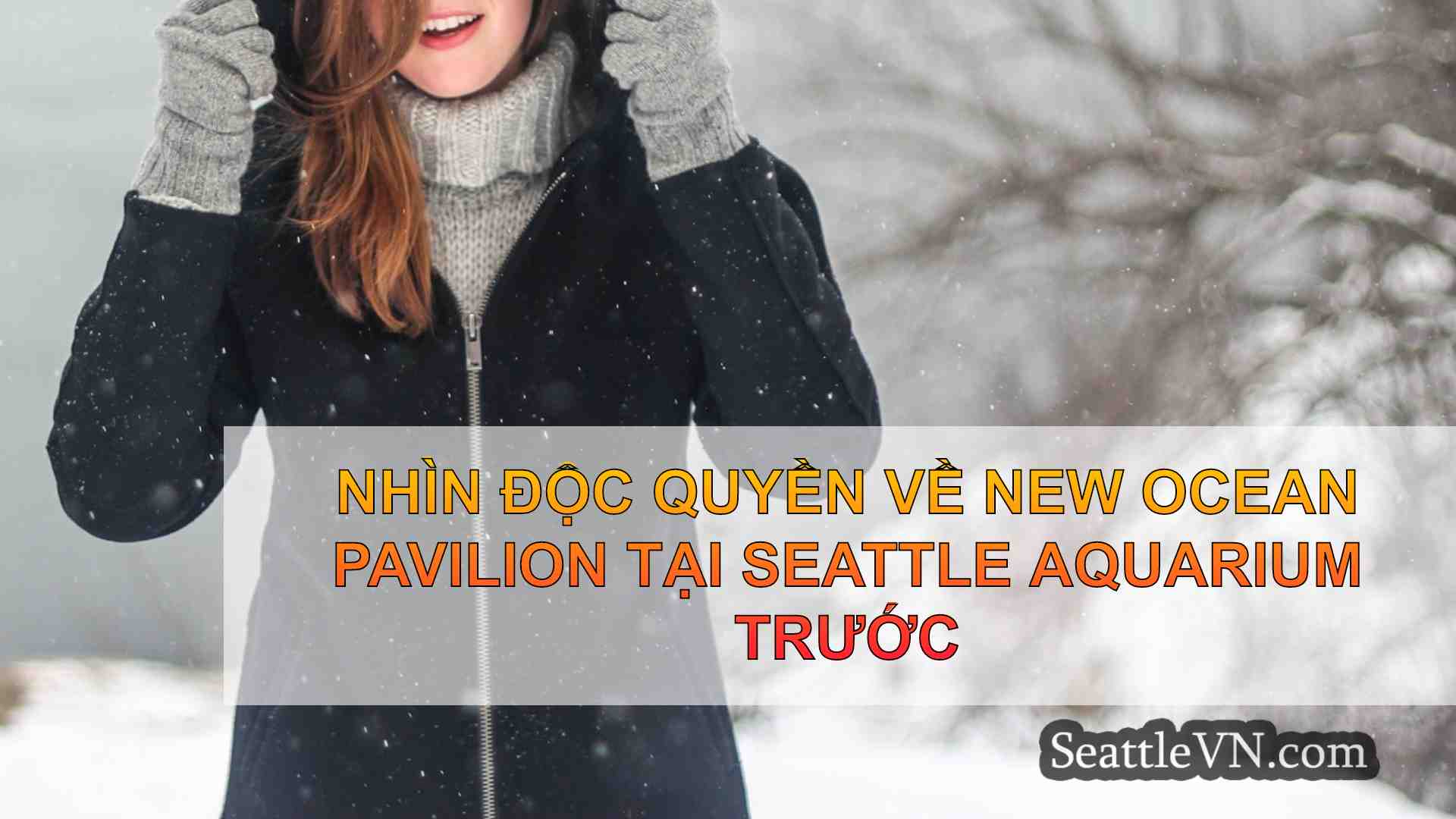 tin tức seattle SeattleVN