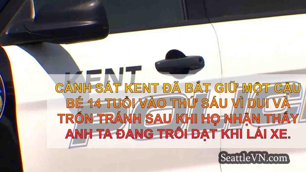 Cảnh sát Kent bắt giữ cậu bé 14 tuổi vì