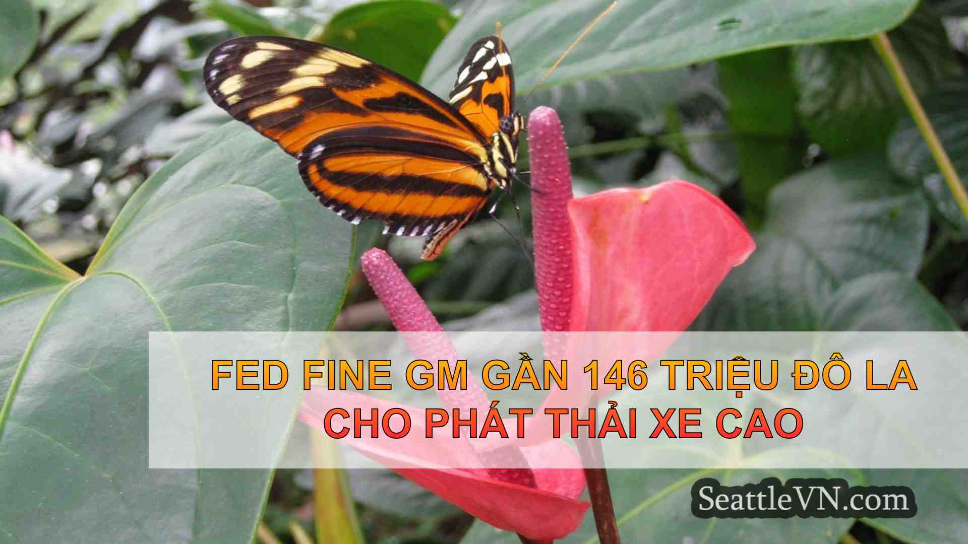 tin tức seattle SeattleVN