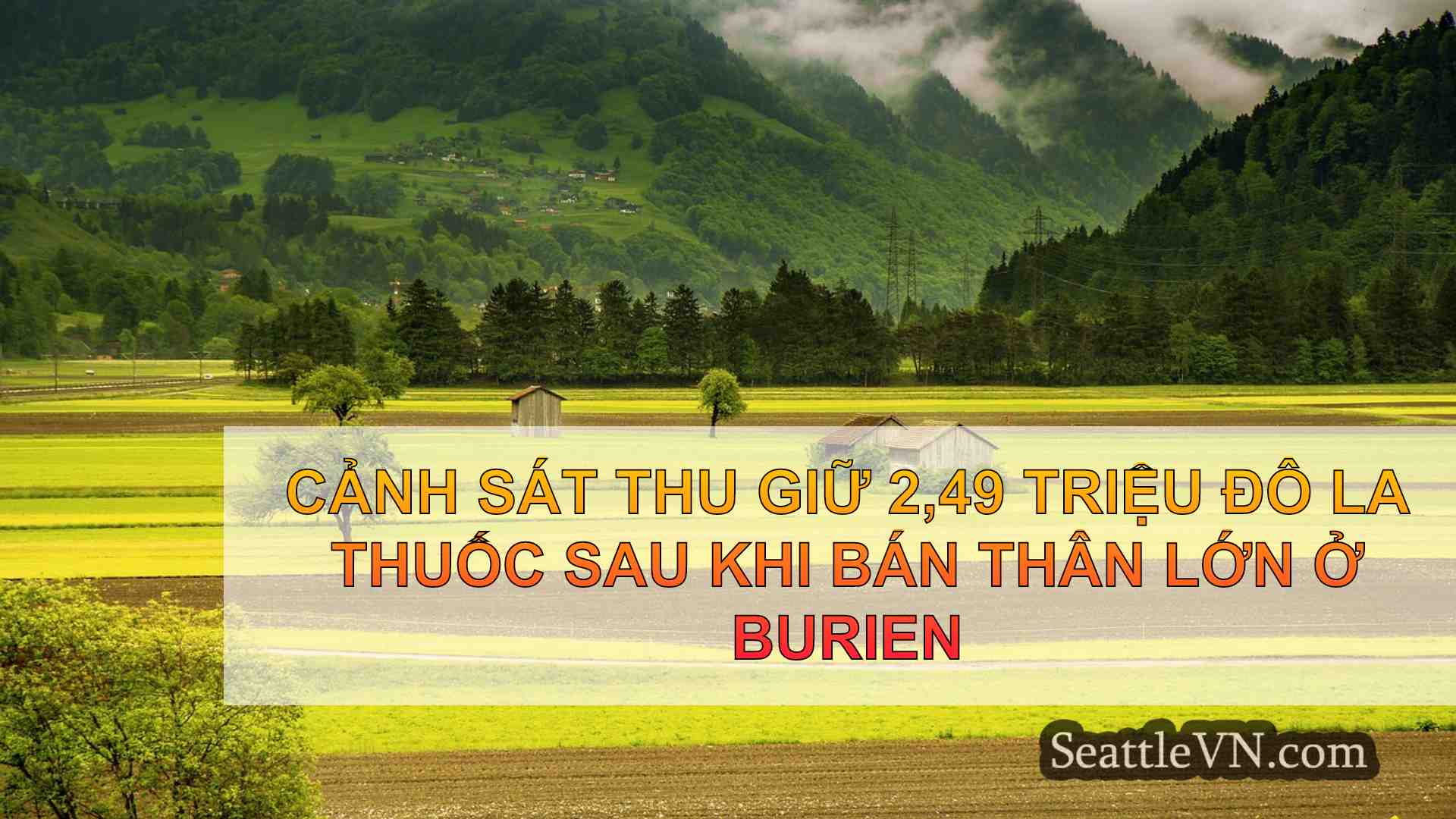 tin tức seattle SeattleVN