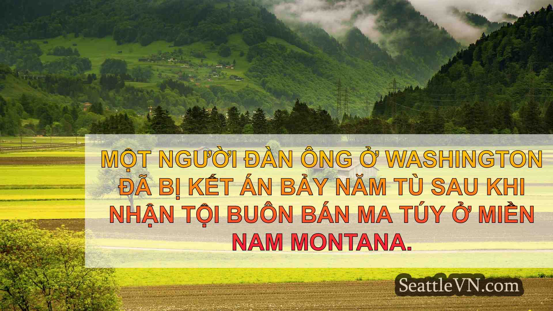 tin tức seattle SeattleVN