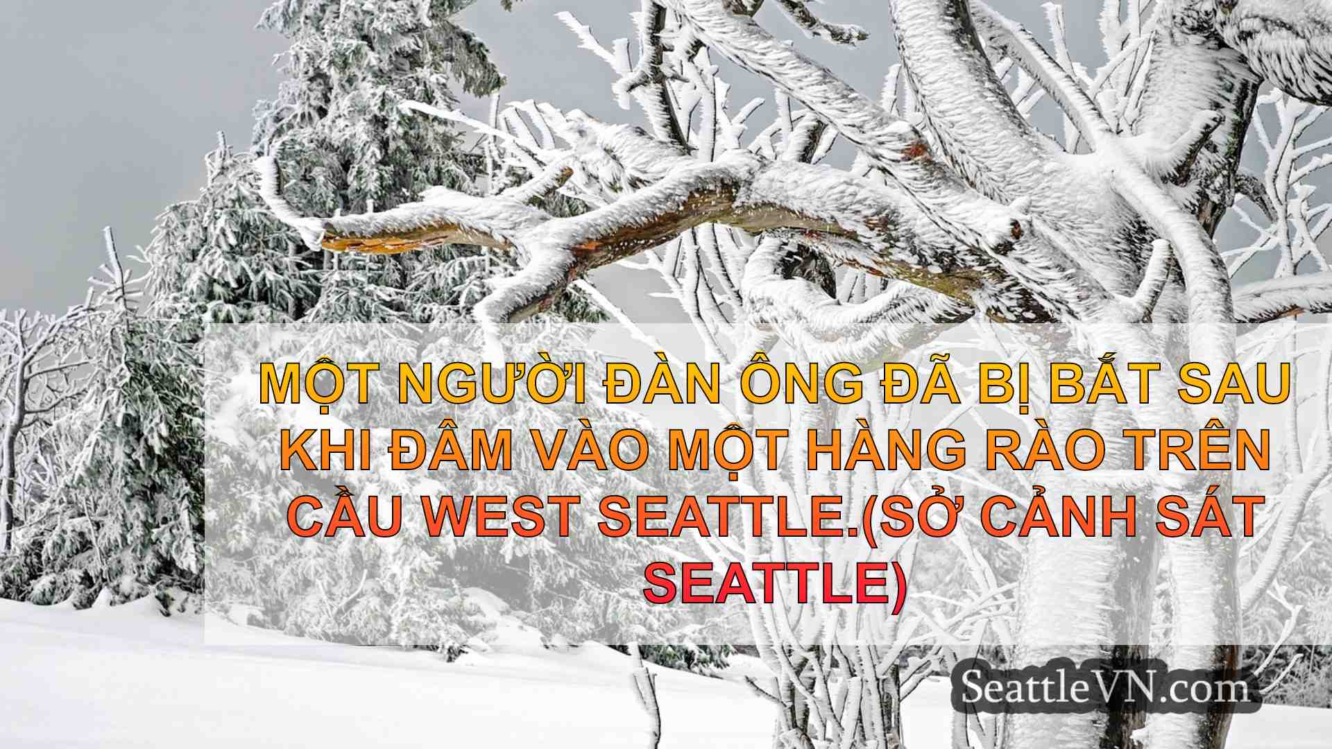 tin tức seattle SeattleVN