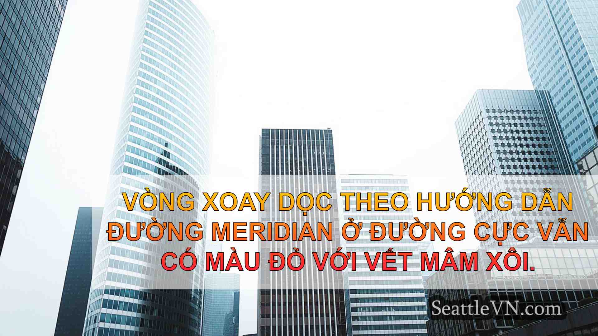 tin tức seattle SeattleVN