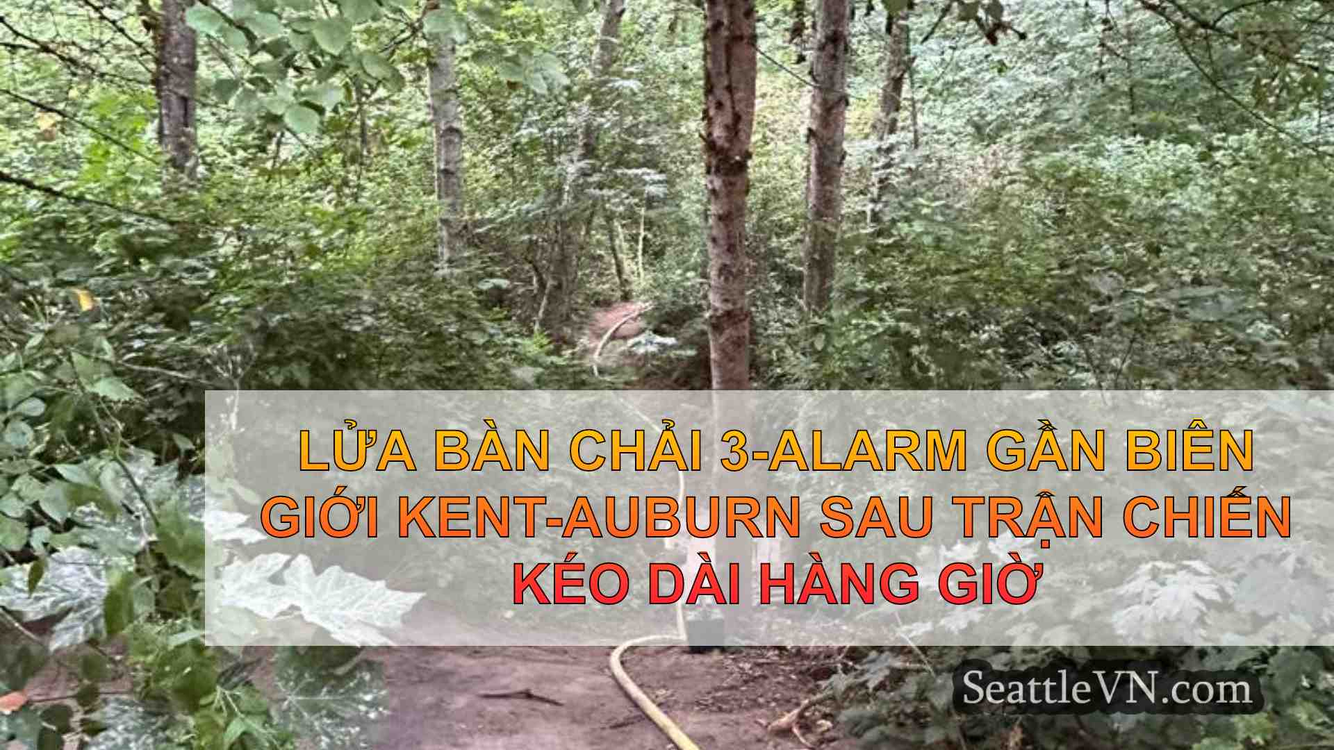 tin tức seattle SeattleVN