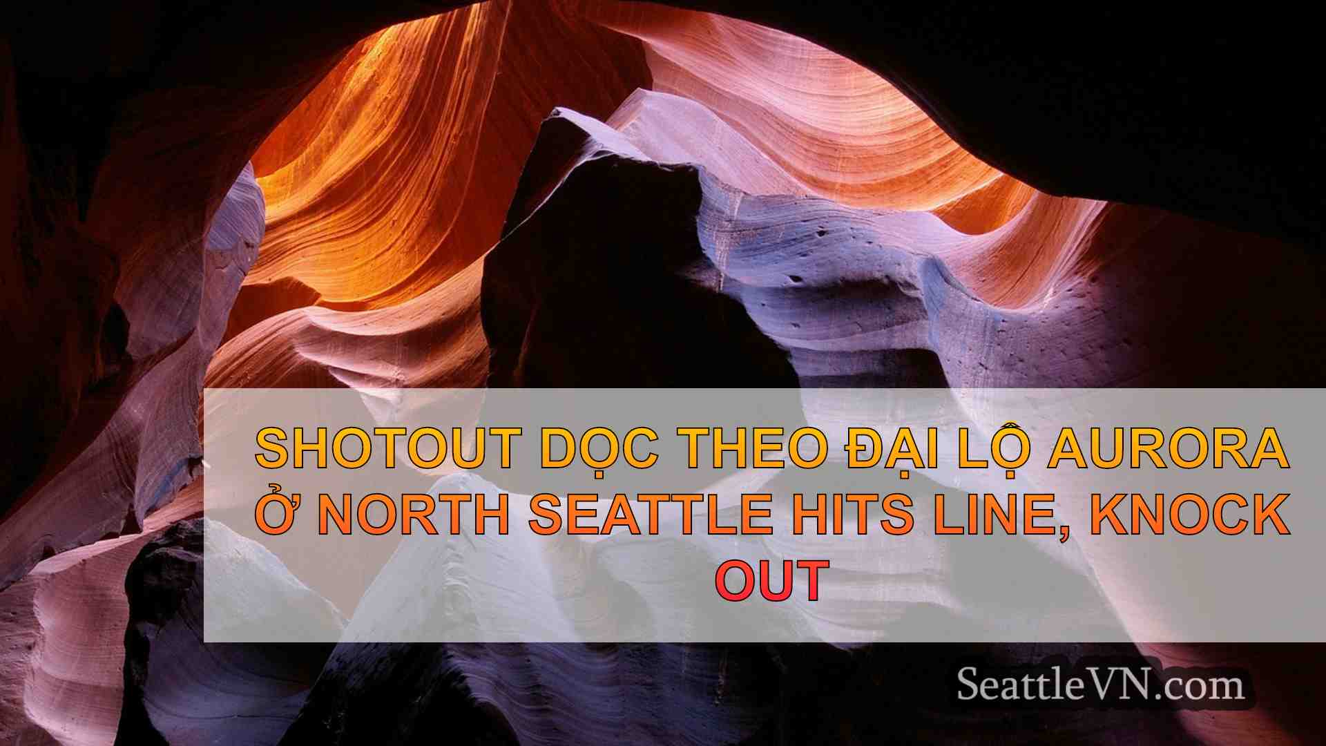 tin tức seattle SeattleVN