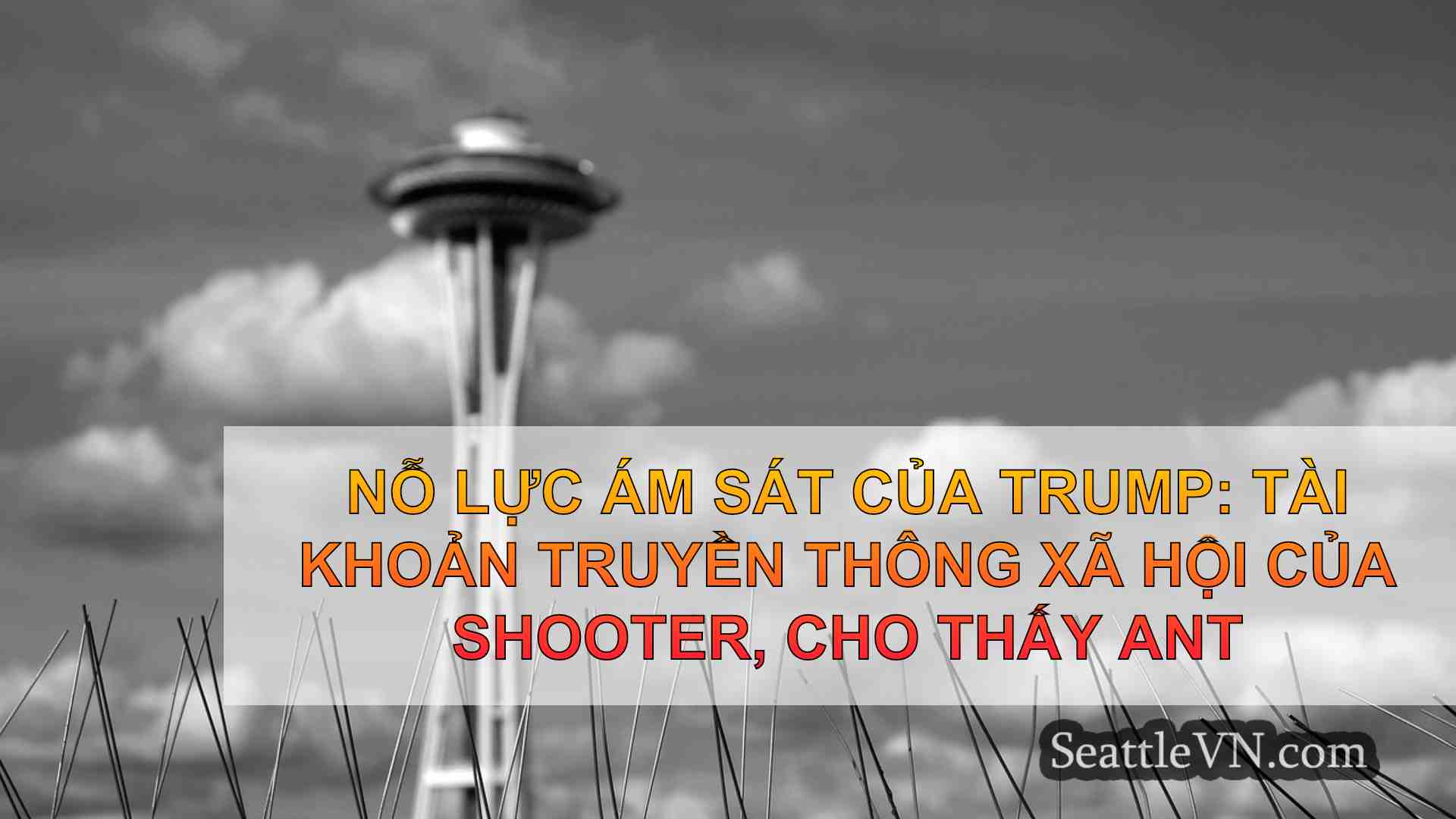 tin tức seattle SeattleVN